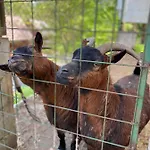 Certova Bouda Dolní Moravice
