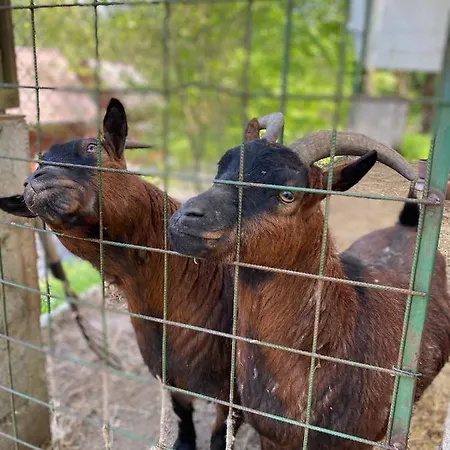 Certova Bouda Dolní Moravice
